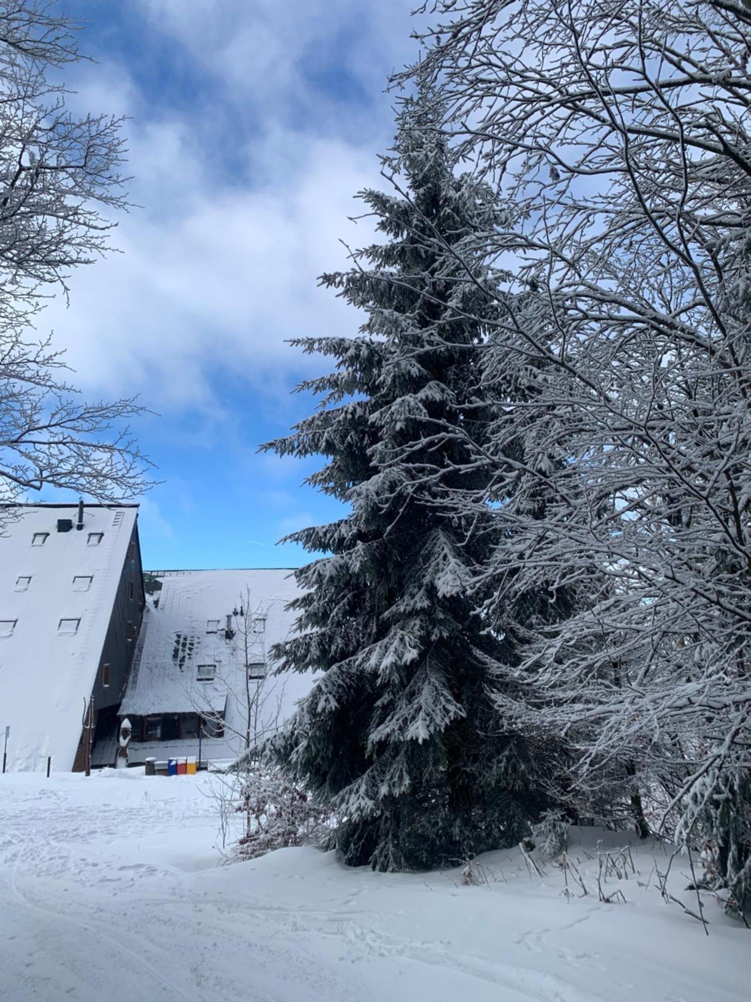 Apartman Zaly Benecko Dış mekan fotoğraf